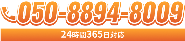 050-8894-8009